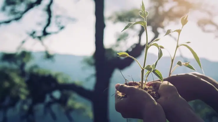 From Slogans to Sparks: How Team Leaders Turn Purpose Into Performance