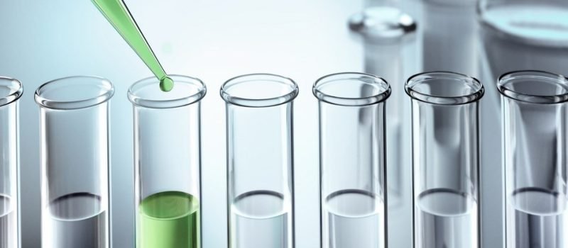 EnvironUp - Amplifying-sustainability-how-innovation-and-RD-leaders-drive-impact