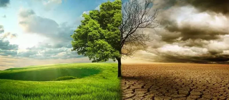 AnyConv.com__Enhancing Climate Governance - 7 codes for corporate boards