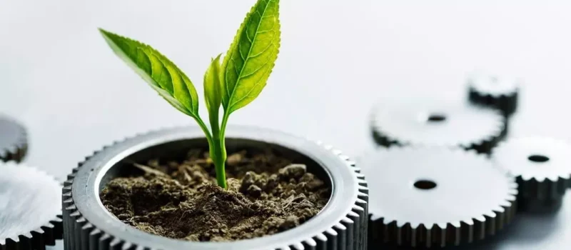 AnyConv.com__The link between business sustainability and innovation