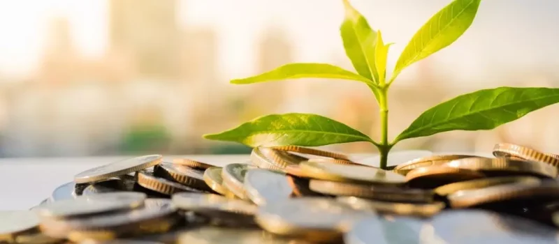 AnyConv.com__The sustainability paradox - competitive advantage or survival strategy