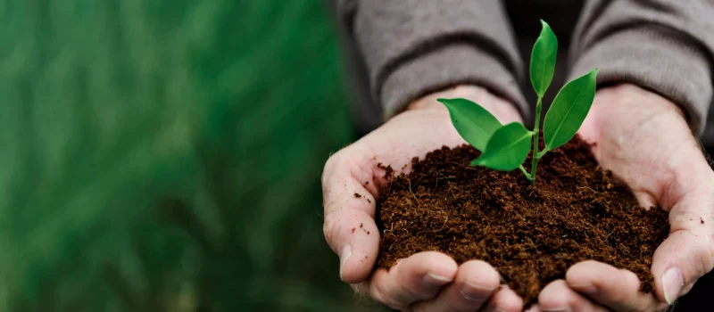 AnyConv.com__environmental-conservation-plant-sustainability