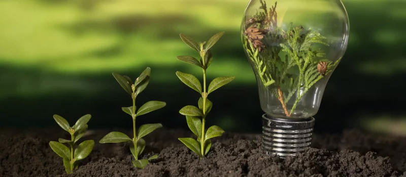 AnyConv.com__sustainable-development-goals-still-life-scaled